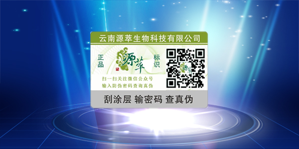 微信WWW.午夜福利视频標簽