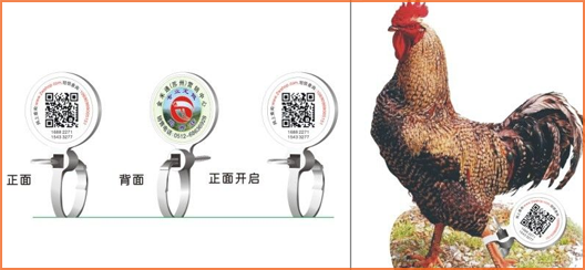 家禽溯源吊牌WWW.午夜福利视频標簽,消除食品安全隱患