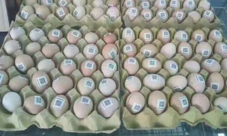 雞蛋二維碼質量可追溯性係統價格多少？