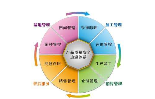 產品追溯係統有哪些公司，是怎樣開發係統的？