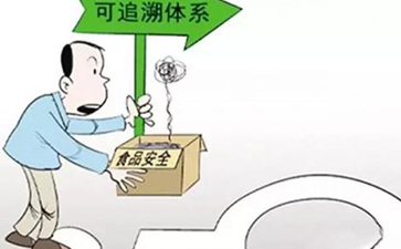 怎樣實現蔬菜的來龍去脈，追根溯源