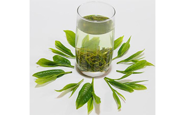 茶葉二維碼WWW.午夜福利视频標簽可以帶來哪些優勢價值已經特點?